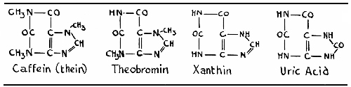 Formula for Caffein, Showing Its Relation to the Purin Group