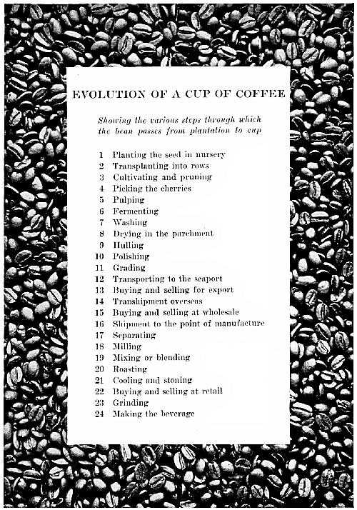 Evolution of a Cup of Coffee