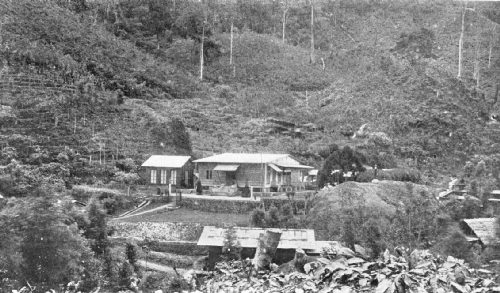 Administrator's Bungalow on the Gadoeng Batoe Estate, Sumatra