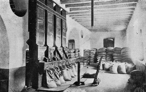 Interior of a Santos Cleaning and Grading Warehouse